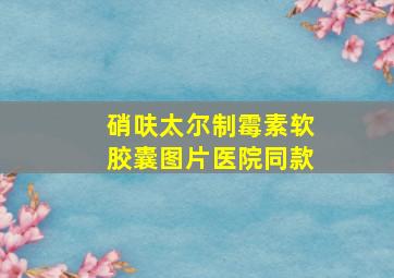 硝呋太尔制霉素软胶囊图片医院同款