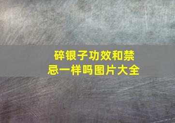 碎银子功效和禁忌一样吗图片大全