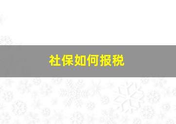 社保如何报税