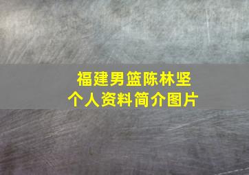 福建男篮陈林坚个人资料简介图片