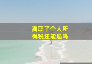 离职了个人所得税还能退吗