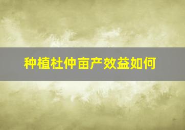 种植杜仲亩产效益如何