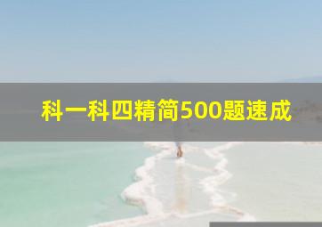 科一科四精简500题速成