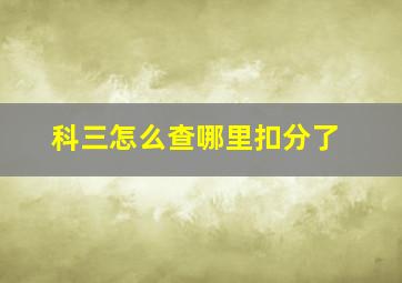 科三怎么查哪里扣分了