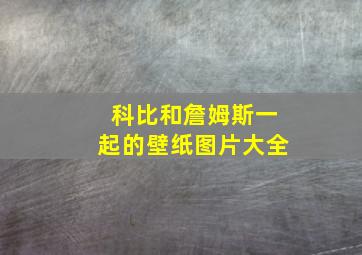 科比和詹姆斯一起的壁纸图片大全