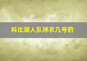 科比湖人队球衣几号的