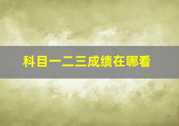 科目一二三成绩在哪看