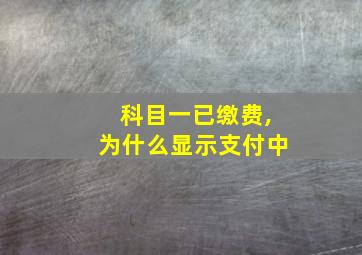 科目一已缴费,为什么显示支付中