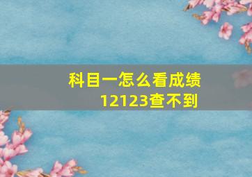 科目一怎么看成绩12123查不到