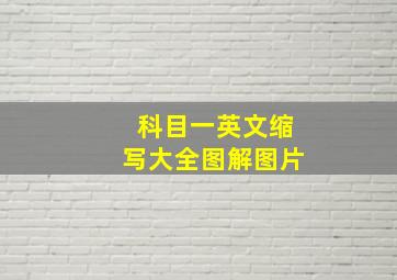 科目一英文缩写大全图解图片