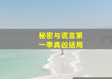 秘密与谎言第一季真凶结局