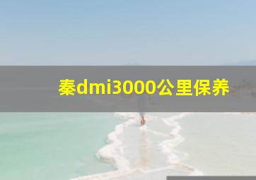 秦dmi3000公里保养