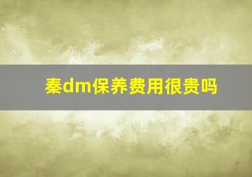 秦dm保养费用很贵吗