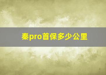 秦pro首保多少公里