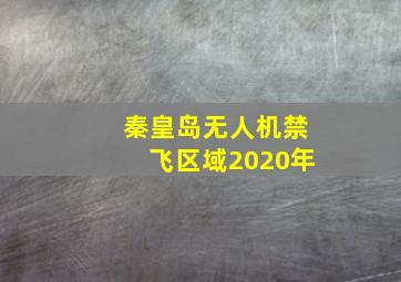 秦皇岛无人机禁飞区域2020年