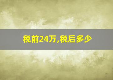 税前24万,税后多少