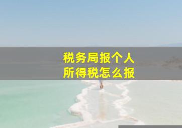 税务局报个人所得税怎么报