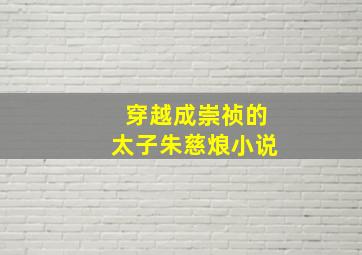 穿越成崇祯的太子朱慈烺小说