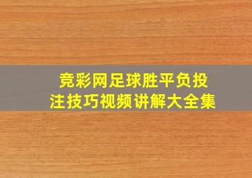 竞彩网足球胜平负投注技巧视频讲解大全集