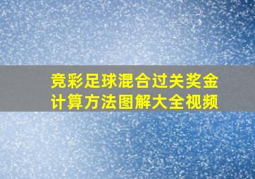 竞彩足球混合过关奖金计算方法图解大全视频