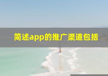 简述app的推广渠道包括