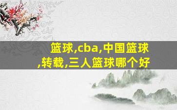 篮球,cba,中国篮球,转载,三人篮球哪个好