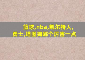 篮球,nba,凯尔特人,勇士,塔图姆哪个厉害一点