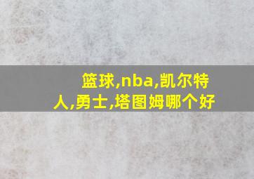 篮球,nba,凯尔特人,勇士,塔图姆哪个好