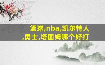 篮球,nba,凯尔特人,勇士,塔图姆哪个好打