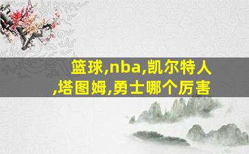 篮球,nba,凯尔特人,塔图姆,勇士哪个厉害