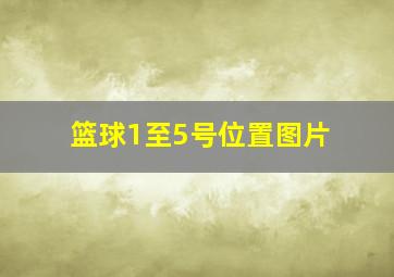 篮球1至5号位置图片