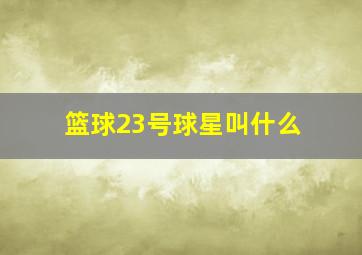 篮球23号球星叫什么