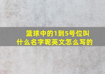 篮球中的1到5号位叫什么名字呢英文怎么写的