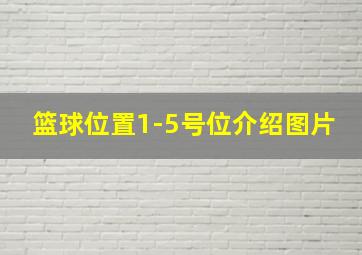 篮球位置1-5号位介绍图片