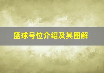 篮球号位介绍及其图解