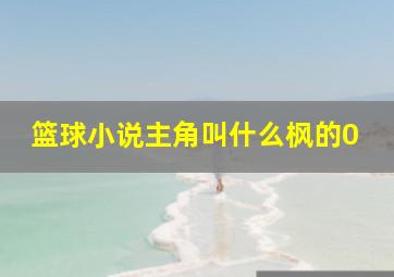 篮球小说主角叫什么枫的0