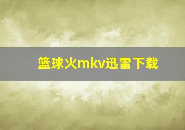 篮球火mkv迅雷下载