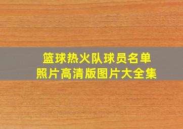 篮球热火队球员名单照片高清版图片大全集