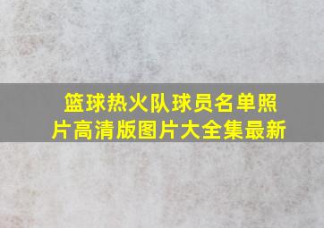 篮球热火队球员名单照片高清版图片大全集最新