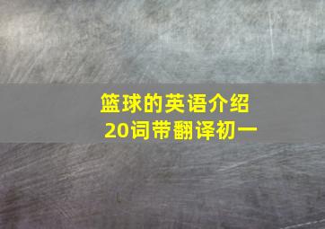 篮球的英语介绍20词带翻译初一