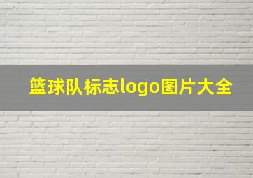 篮球队标志logo图片大全