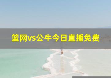 篮网vs公牛今日直播免费