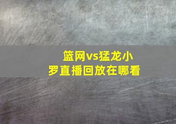 篮网vs猛龙小罗直播回放在哪看