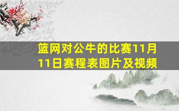 篮网对公牛的比赛11月11日赛程表图片及视频