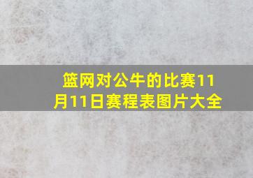 篮网对公牛的比赛11月11日赛程表图片大全