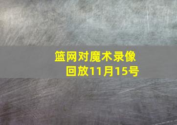 篮网对魔术录像回放11月15号