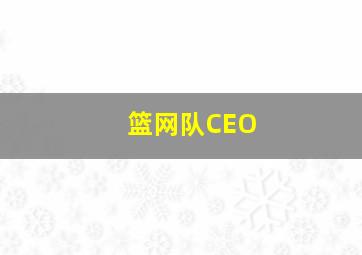 篮网队CEO