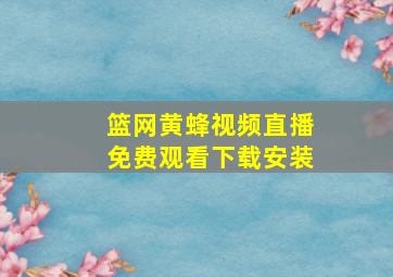 篮网黄蜂视频直播免费观看下载安装