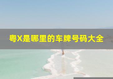 粤X是哪里的车牌号码大全