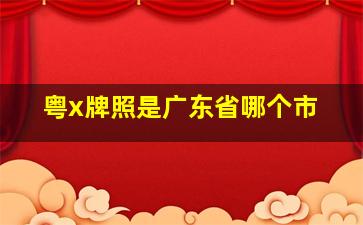 粤x牌照是广东省哪个市